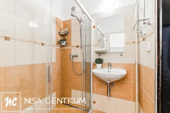 Prodej bytu 1+1, Liberec, U Potůčku, 41 m2