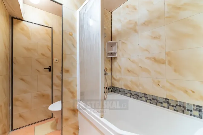 Prodej bytu 2+1, České Budějovice - České Budějovice 3, Plzeňská, 49 m2