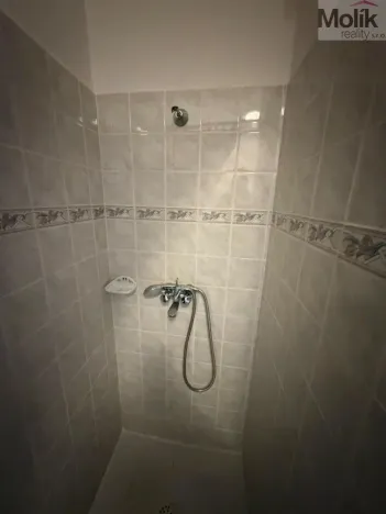 Prodej bytu 4+1, Chomutov, Školní, 112 m2