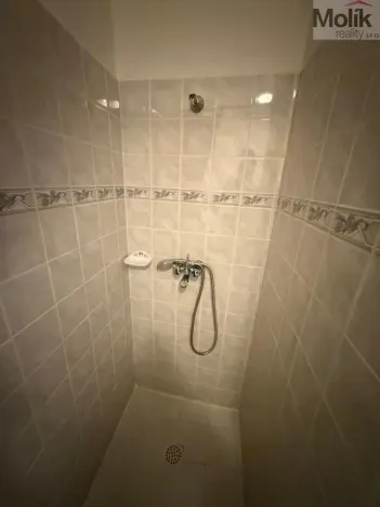 Prodej bytu 4+1, Chomutov, Školní, 115 m2