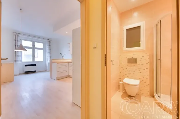 Pronájem bytu 2+kk, Praha - Žižkov, Přemyslovská, 46 m2