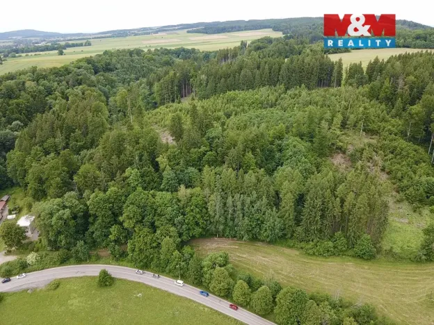 Prodej lesa, Ústí nad Orlicí - Oldřichovice, 2745 m2