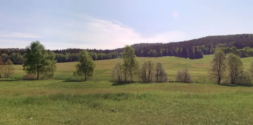 Prodej pole, Pohorská Ves - Janova Ves, 67144 m2