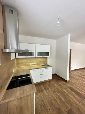 Pronájem bytu 1+kk, Děčín, Na Slatinách, 38 m2