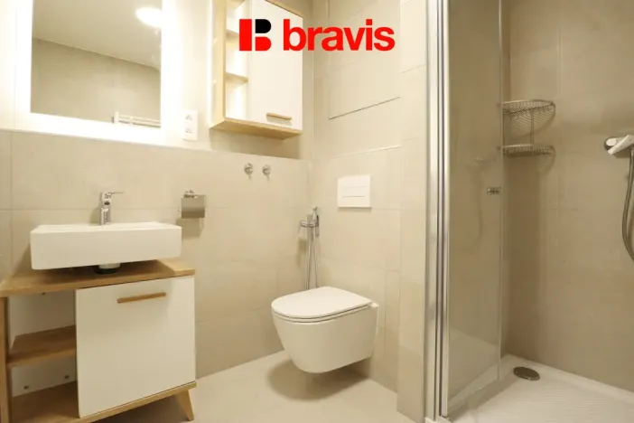 Pronájem bytu 2+kk, Brno - Staré Brno, Rybářská, 47 m2