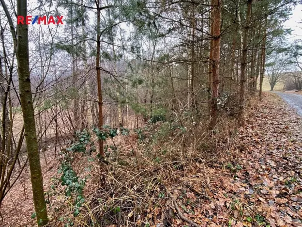 Prodej pozemku, Ondřejov, 8264 m2