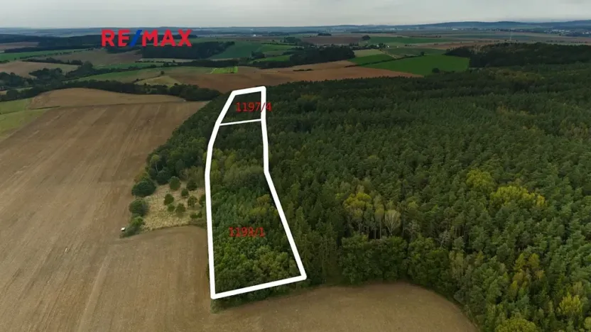 Prodej lesa, Všehrdy, 35057 m2