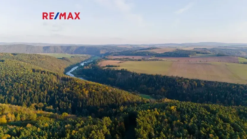 Prodej lesa, Všehrdy, 35057 m2