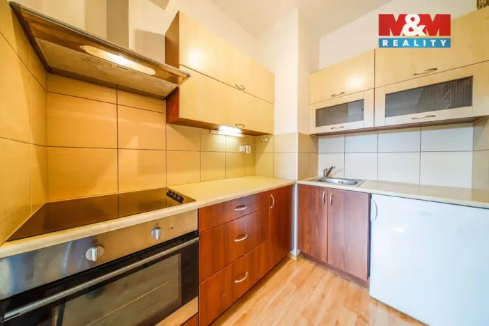 Pronájem bytu 1+kk, Plzeň - Jižní Předměstí, U Radbuzy, 29 m2