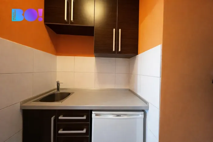 Prodej bytu 1+1, Ostrava, Krakovská, 20 m2