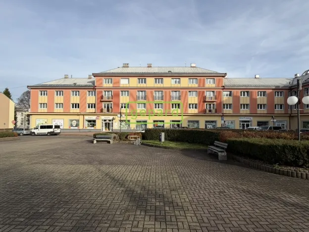 Prodej bytu 2+1, Horní Slavkov, Dlouhá, 57 m2