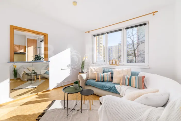 Prodej bytu 3+1, České Budějovice - České Budějovice 2, K. Chocholy, 66 m2