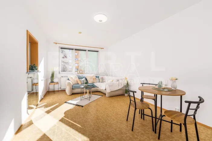 Prodej bytu 3+1, České Budějovice - České Budějovice 2, K. Chocholy, 66 m2