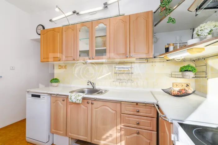 Prodej bytu 3+1, České Budějovice - České Budějovice 2, K. Chocholy, 66 m2