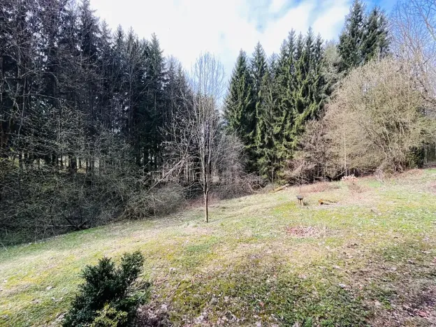 Prodej chalupy, Rychnov u Jablonce nad Nisou, 160 m2