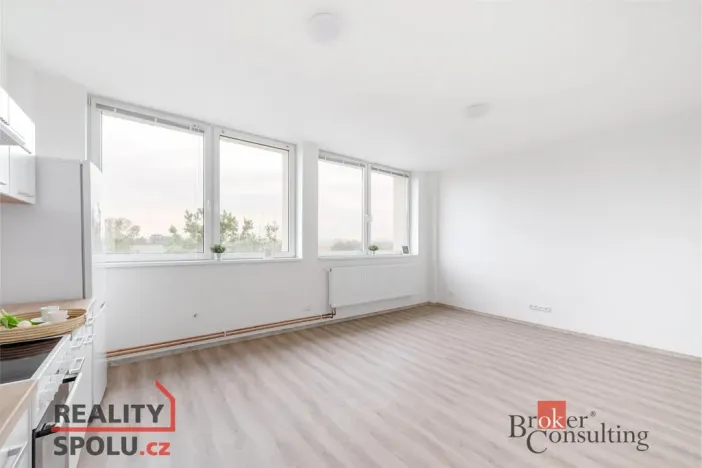 Pronájem bytu 1+kk, Mlékojedy, 45 m2