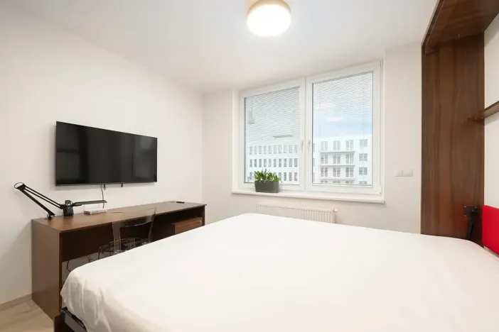 Pronájem bytu 1+kk, Brno, Placzkova, 28 m2