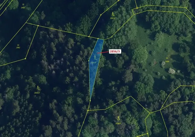 Dražba lesa, Český Dub, 448 m2