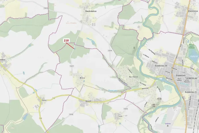 Dražba lesa, Vesce, 682 m2