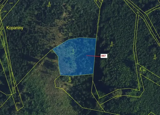 Dražba lesa, Lhota Rapotina, 1938 m2