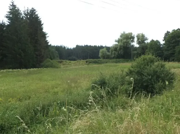 Dražba louky, Chodský Újezd, 13137 m2