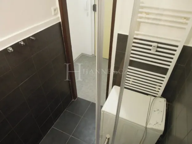 Pronájem bytu 2+1, Praha - Vršovice, Na louži, 55 m2