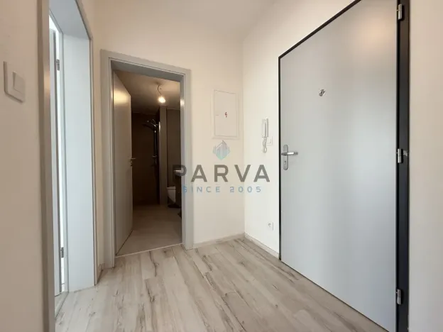 Pronájem bytu 1+kk, Plzeň - Litice, Hrachová, 32 m2