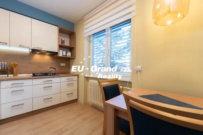 Prodej bytu 1+1, Ústí nad Labem - Ústí nad Labem-centrum, SNP, 29 m2