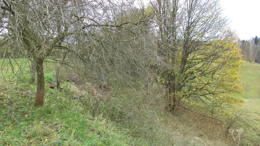 Prodej pozemku, Aš, 1691 m2