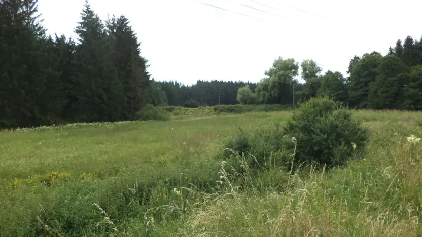 Prodej pozemku, Chodský Újezd - Nahý Újezdec, 13137 m2