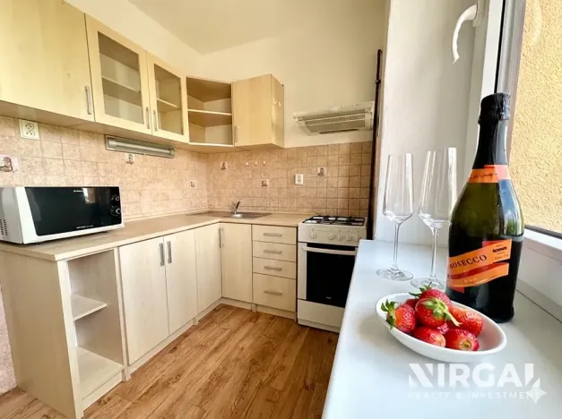 Pronájem bytu 1+1, Praha - Žižkov, U kněžské louky, 70 m2