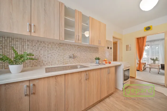 Prodej bytu 2+1, Rosice, 56 m2