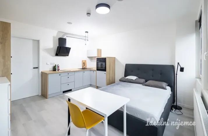 Pronájem bytu 1+kk, Praha - Vinohrady, Perucká, 25 m2