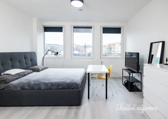 Pronájem bytu 1+kk, Praha - Vinohrady, Perucká, 25 m2