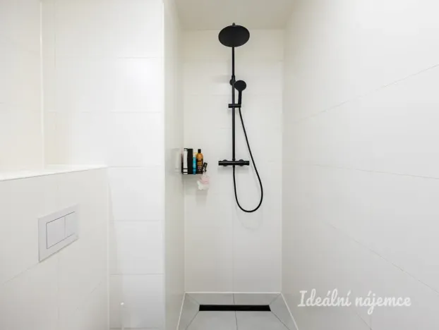 Pronájem bytu 1+kk, Praha - Vinohrady, Perucká, 25 m2