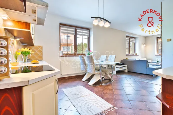 Prodej rodinného domu, Velké Opatovice, 167 m2