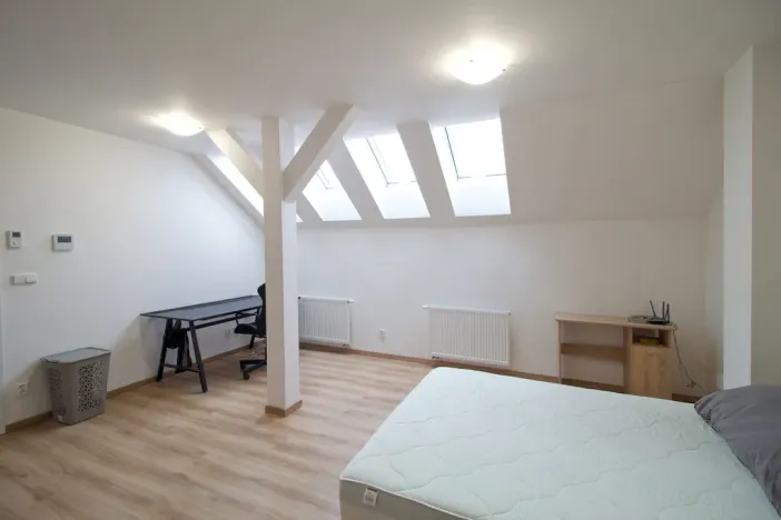 Pronájem bytu 1+kk, Plzeň - Jižní Předměstí, Tovární, 35 m2