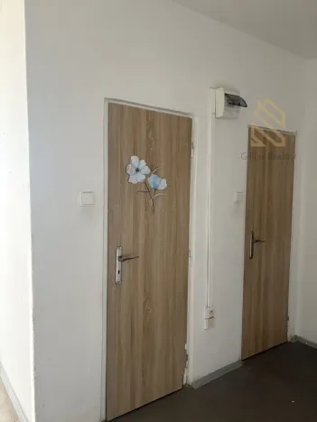 Pronájem bytu 2+1, Bílina - Teplické Předměstí, Antonína Sovy, 50 m2