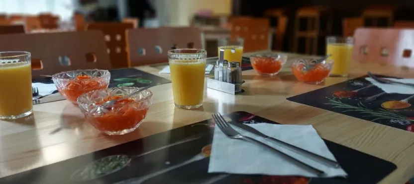 Prodej ubytování, Svojanov, 1200 m2