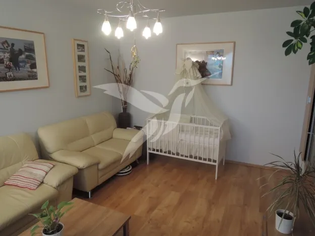 Pronájem bytu 2+1, Přeštice, Tř. 1. máje, 52 m2