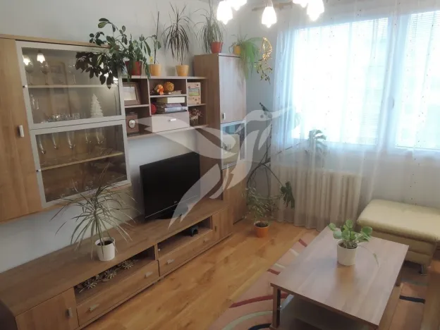 Pronájem bytu 2+1, Přeštice, Tř. 1. máje, 52 m2