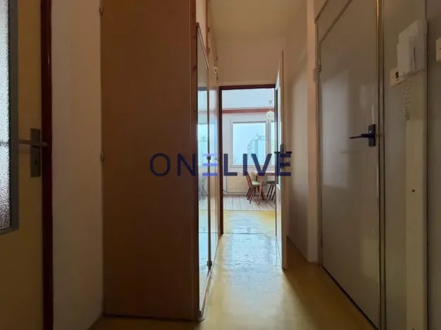 Pronájem bytu 1+1, Plzeň, Brněnská, 38 m2