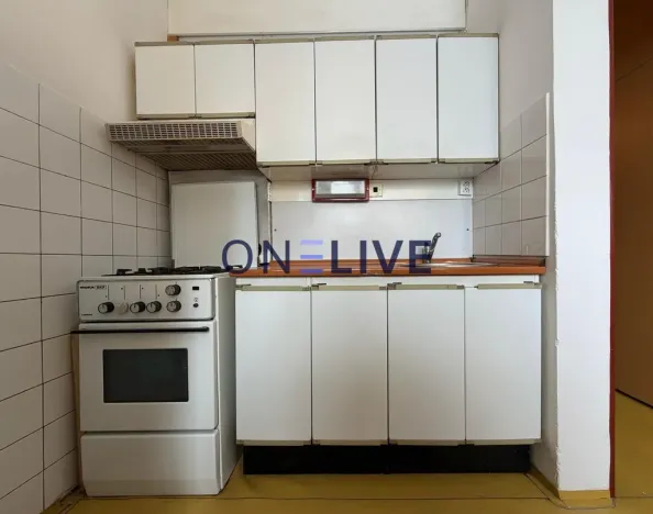 Pronájem bytu 1+1, Plzeň, Brněnská, 38 m2