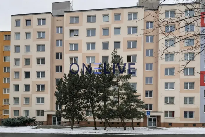 Pronájem bytu 1+1, Plzeň, Brněnská, 38 m2