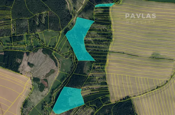 Prodej lesa, Křelovice, 102822 m2