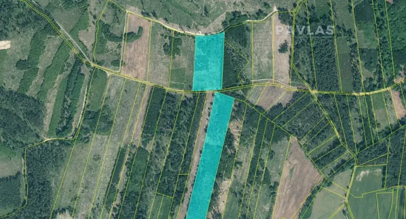 Prodej lesa, Jetětice, 103270 m2