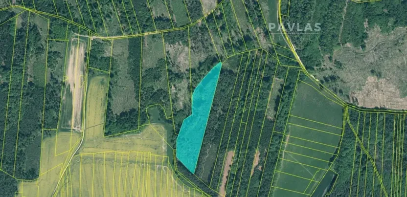 Prodej lesa, Jetětice, 103270 m2