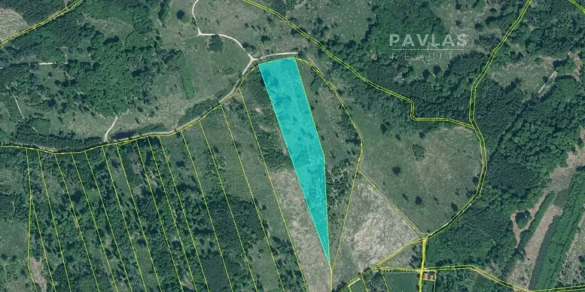 Prodej lesa, Jetětice, 103270 m2