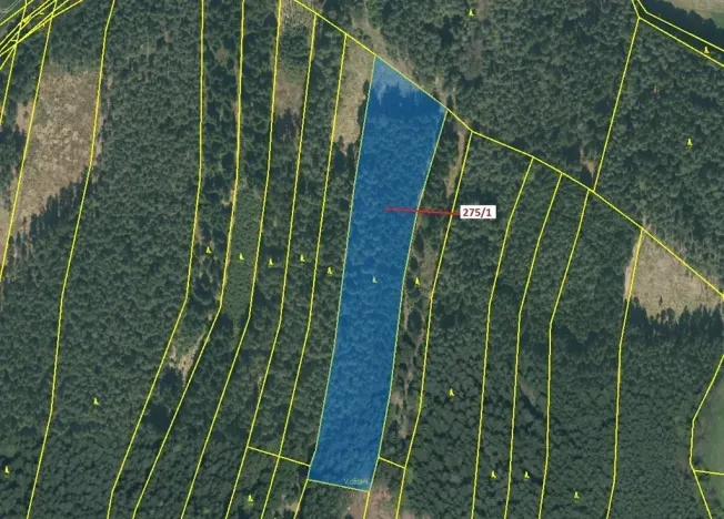 Dražba lesa, Psárov, 15717 m2