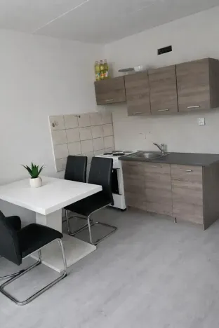 Pronájem bytu 3+1, Most, K. H. Borovského, 55 m2